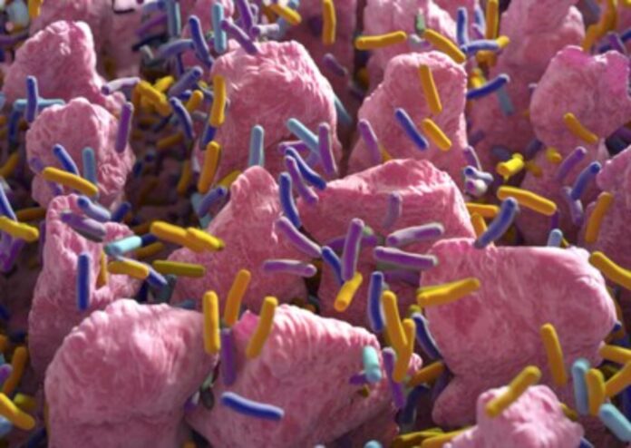 Purina_Institute_Microbiome_Innovation
