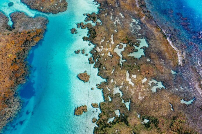 closeup-shot-islands-ocean-3d-map-canvas (1)
